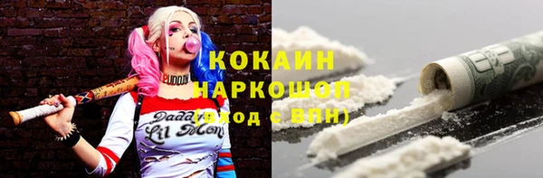 прущие грибы Верея