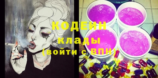 прущие грибы Верея