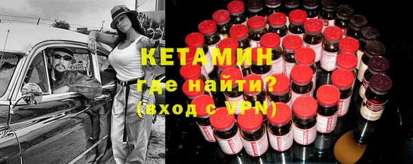 прущие грибы Верея