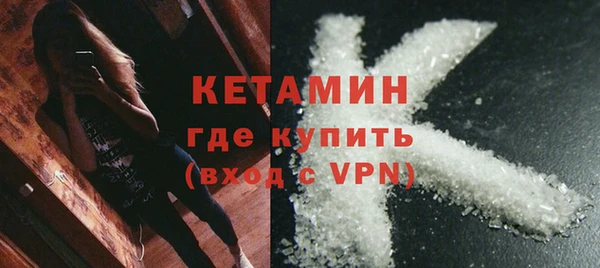 прущие грибы Верея