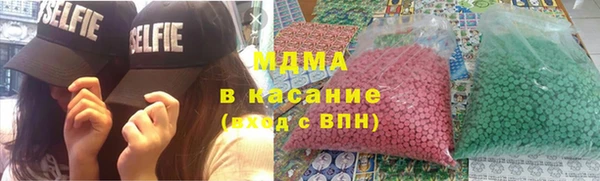 прущие грибы Верея