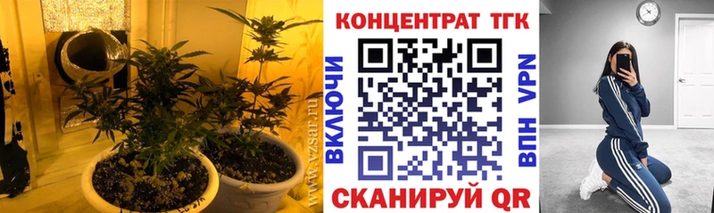 Купить закладки  Рудня  Дистиллят ТГК Wax 