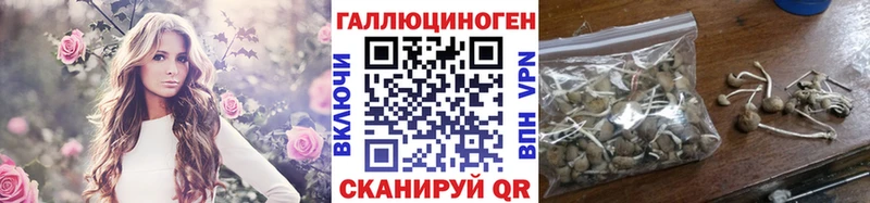 Псилоцибиновые грибы ЛСД  Купить  Рудня 